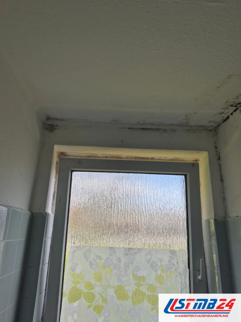 Schimmelsanierung in Geesthacht: Bad mit Schimmel in der Fensterlaibung und an der Deckenkante über türkisen Fliesen