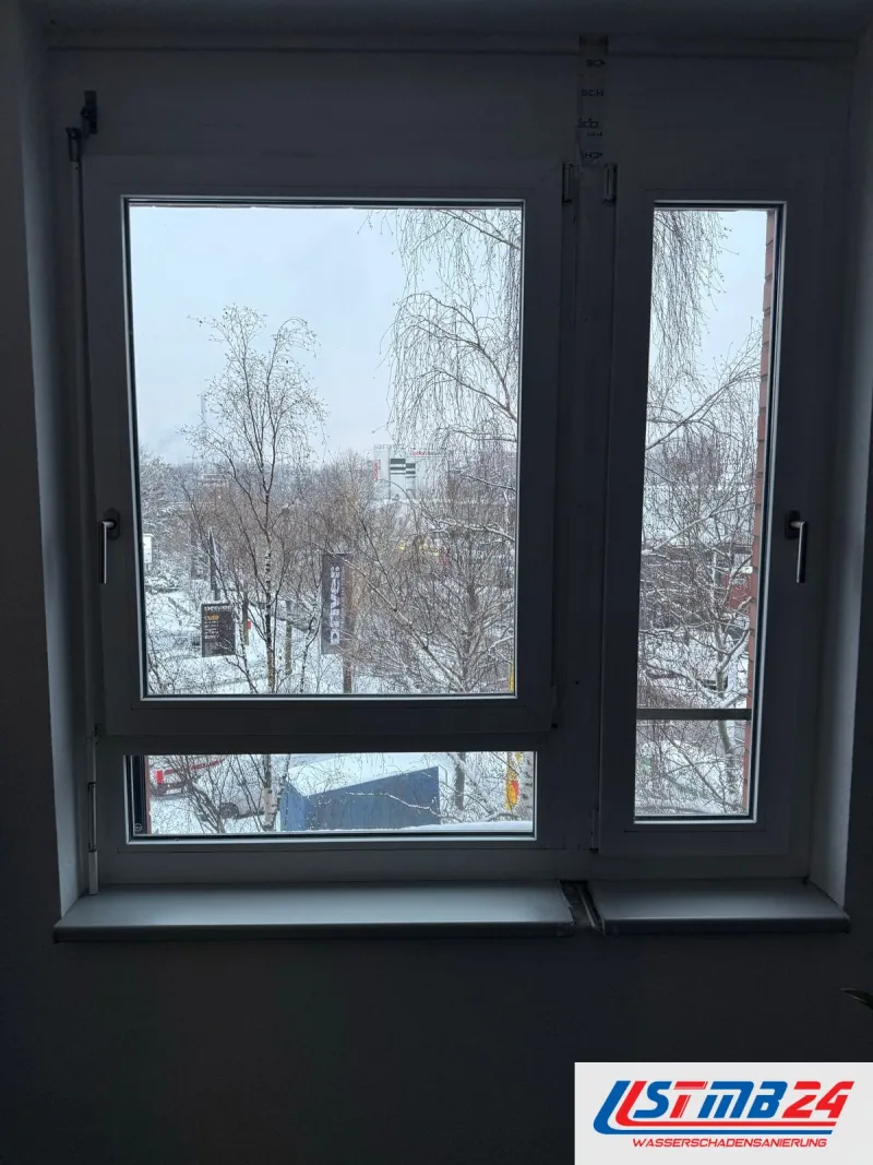 Tischler in Geesthacht: zweiflügeliges Kunststofffenster mit Oberlicht im Büro, draußen Schnee und Birken