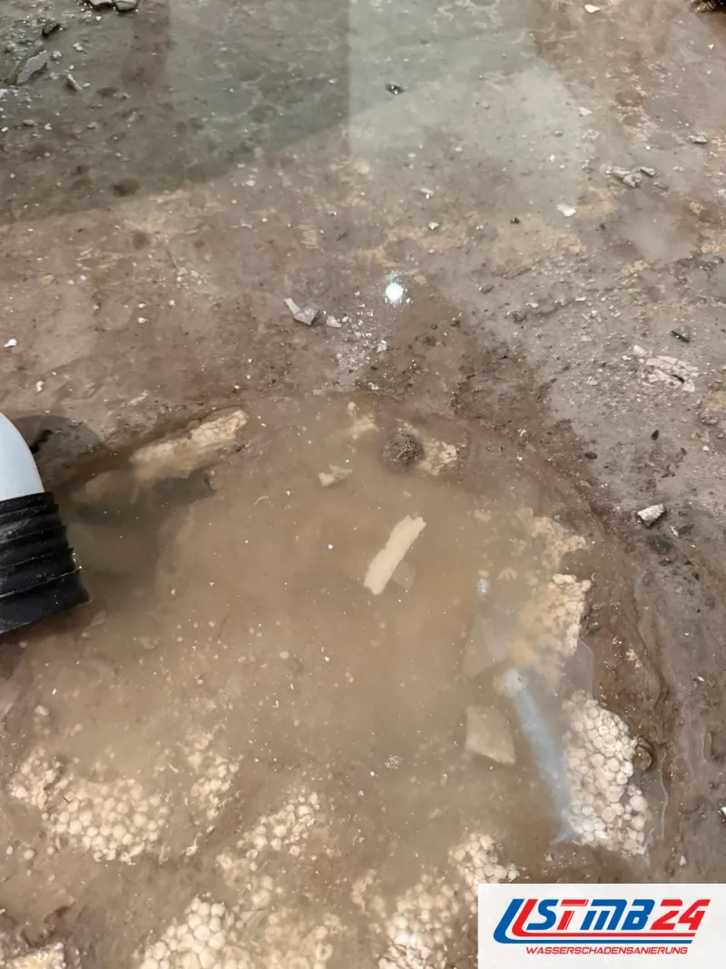 Wasserschaden Notdienst in Grömitz: Estrich aufgenommen, auf der Styropordämmung steht braunes Wasser, links ein Saugschlauch