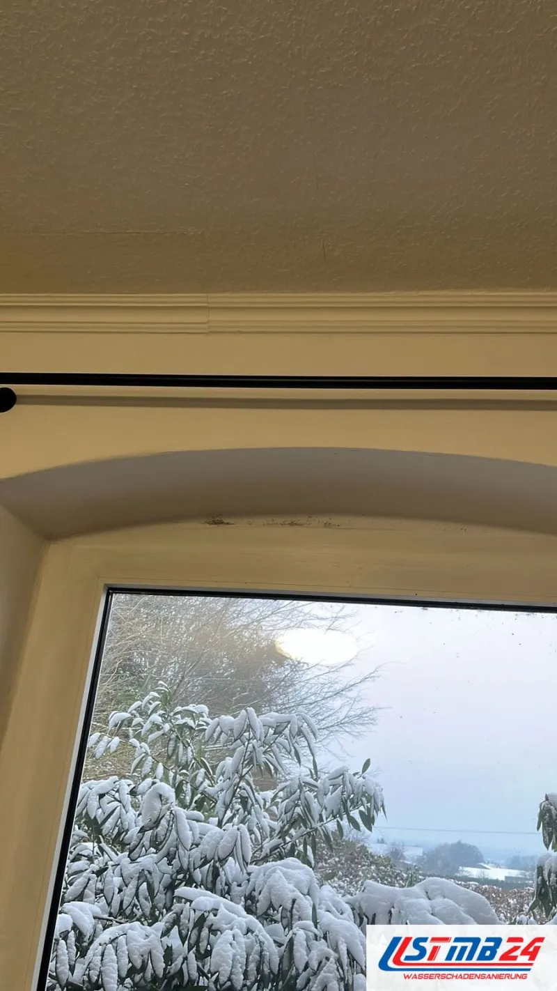 Tischler in Grömitz: Fenster in einer Rundbogennische, darüber eine Stuckleiste, draußen verschneite Büsche