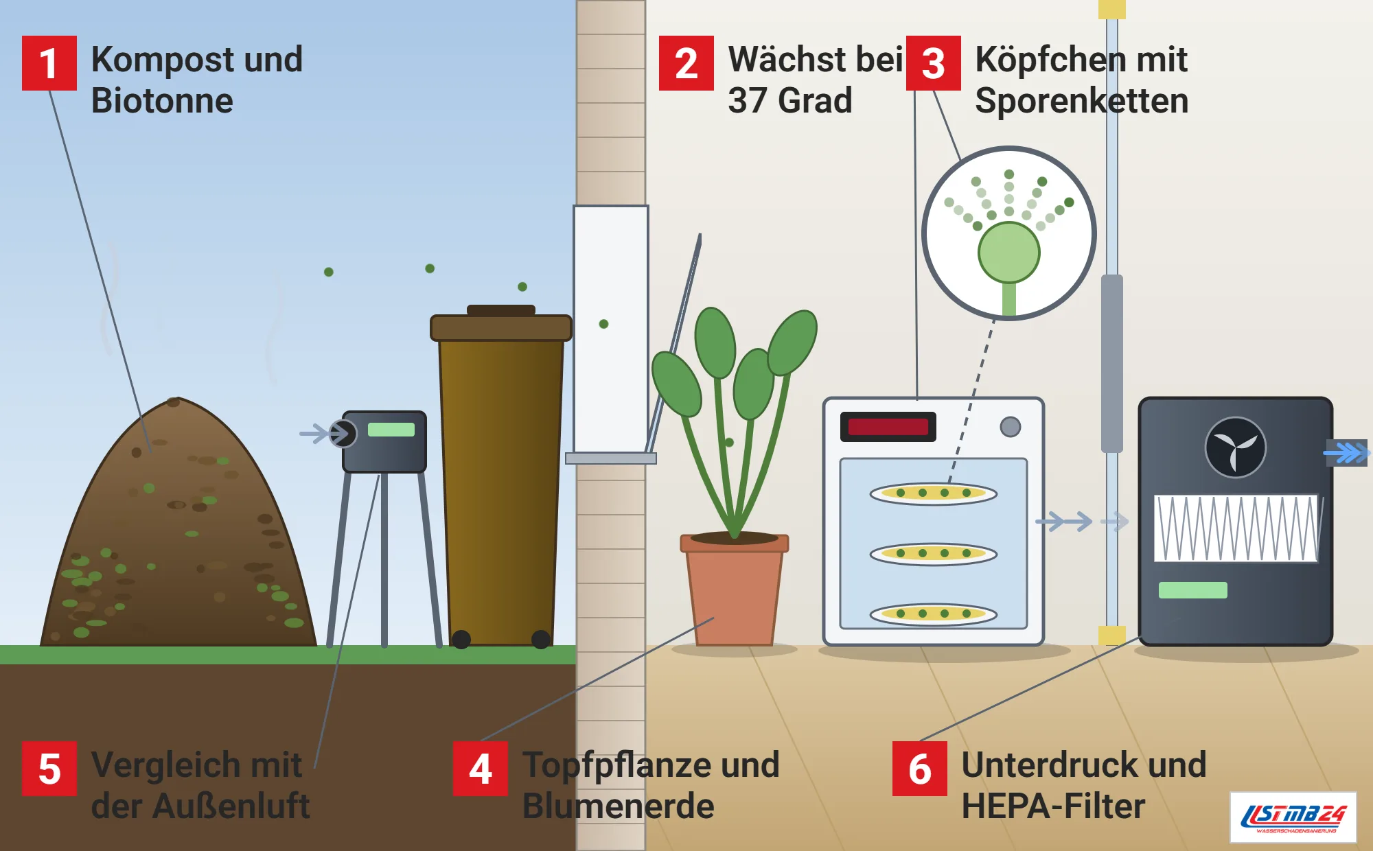 Aspergillus fumigatus, Funktionsweise: dampfender Komposthaufen, Luftkeimsammler auf Stativ, Biotonne, Hauswand mit gekipptem Fenster und Sporen, Topfpflanze, Brutschrank mit Petrischalen bei 37 Grad, Lupe mit Konidienträger und Sporenketten, Folienwand mit Unterdruckgerät und HEPA-Filter