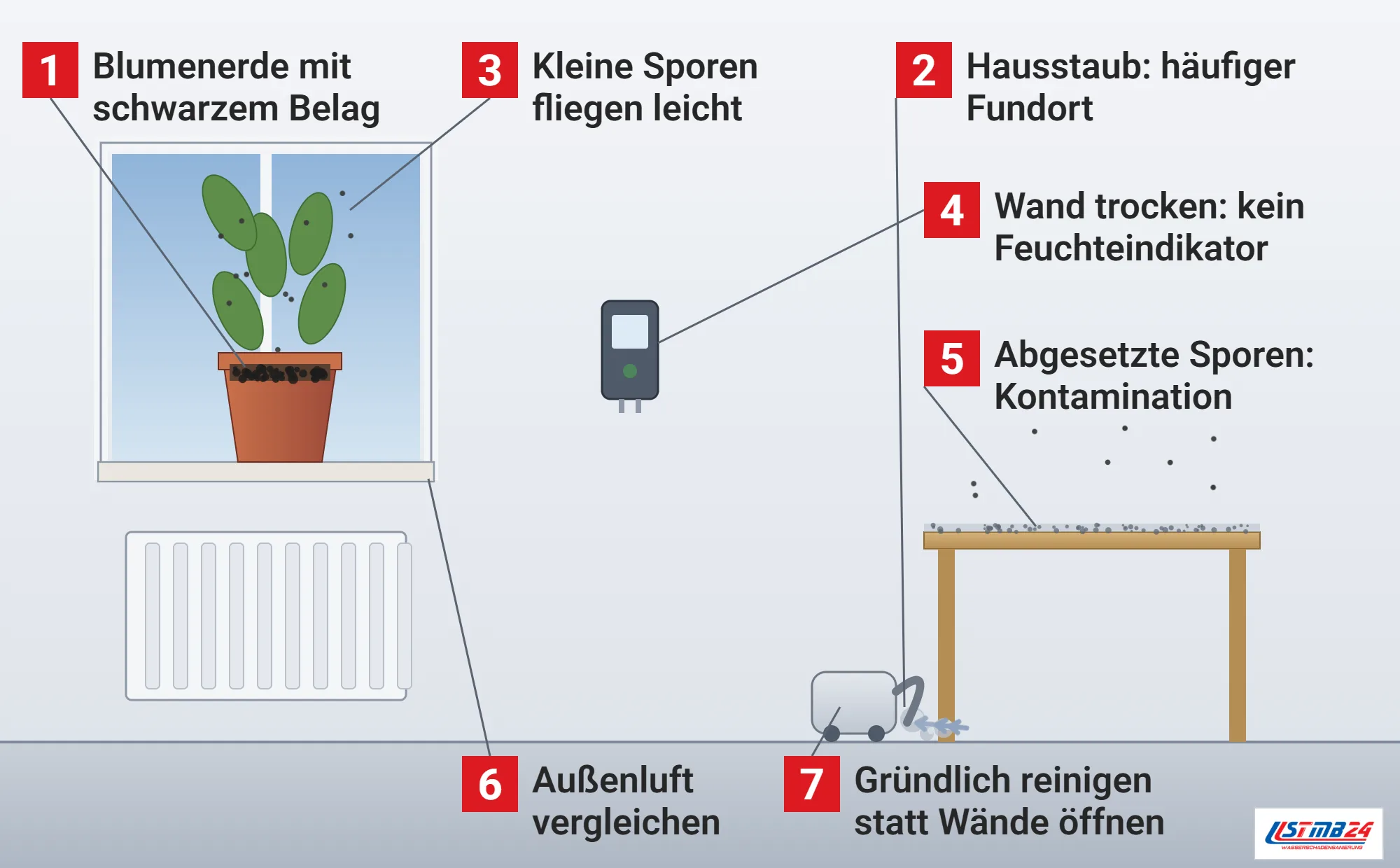 Aspergillus niger, Funktionsweise: Wohnraum mit Topfpflanze auf der Fensterbank und schwarzem Belag auf der Blumenerde, kleine Sporen steigen auf, Feuchtemessgerät zeigt die Wand trocken, Tisch mit abgesetztem Staub und Sporen, Staubsauger nimmt Staubflocken auf