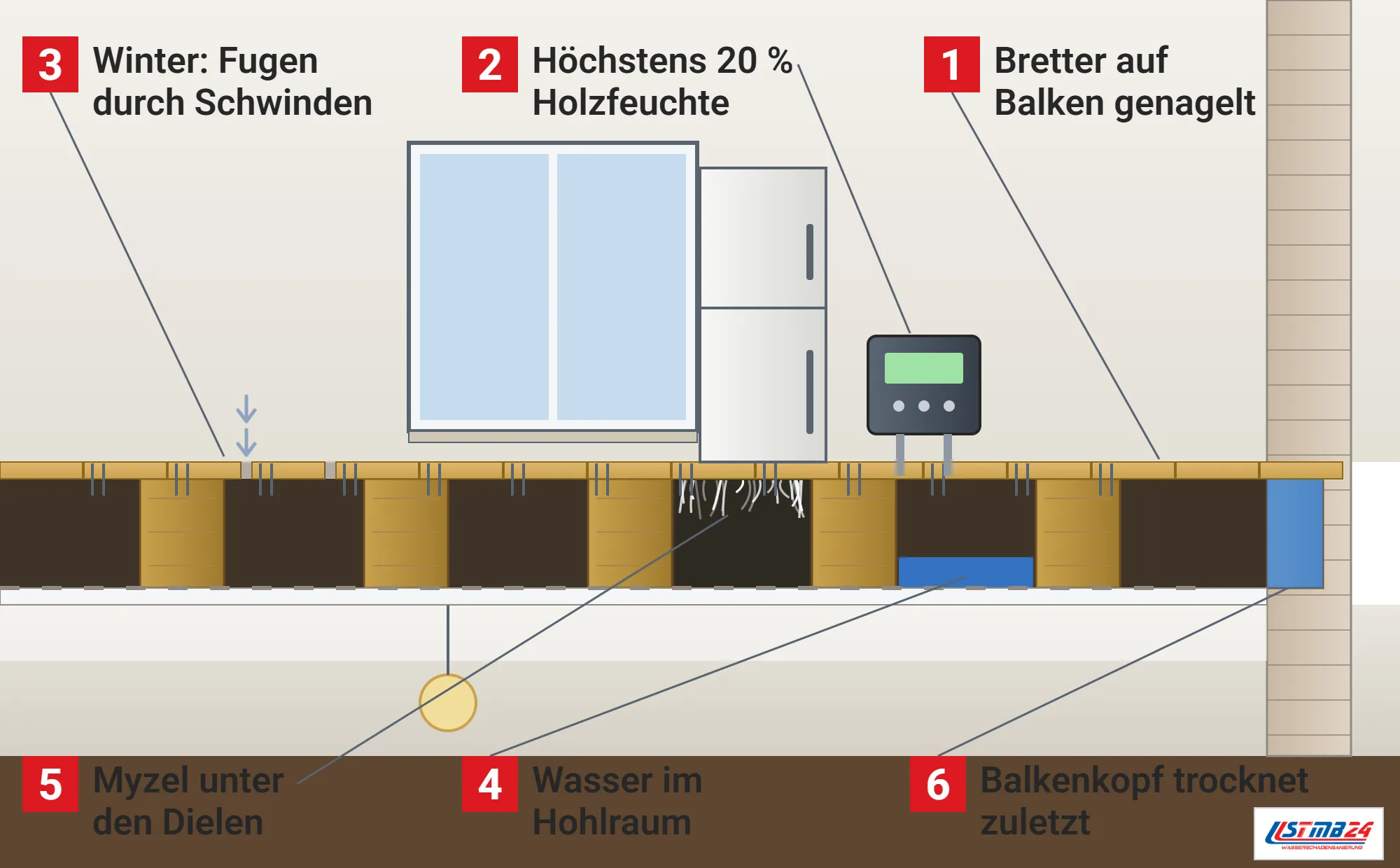 Dielenboden, Funktionsweise: Zimmer über einer Holzbalkendecke im Schnitt mit genagelten Dielen, Balken, Hohlraum und Putzdecke, Holzfeuchtemessgerät mit Einschlagelektroden, geöffneten Fugen, Wasser im Hohlraum, Myzel unter den Dielen und Balkenkopf in der Außenwand