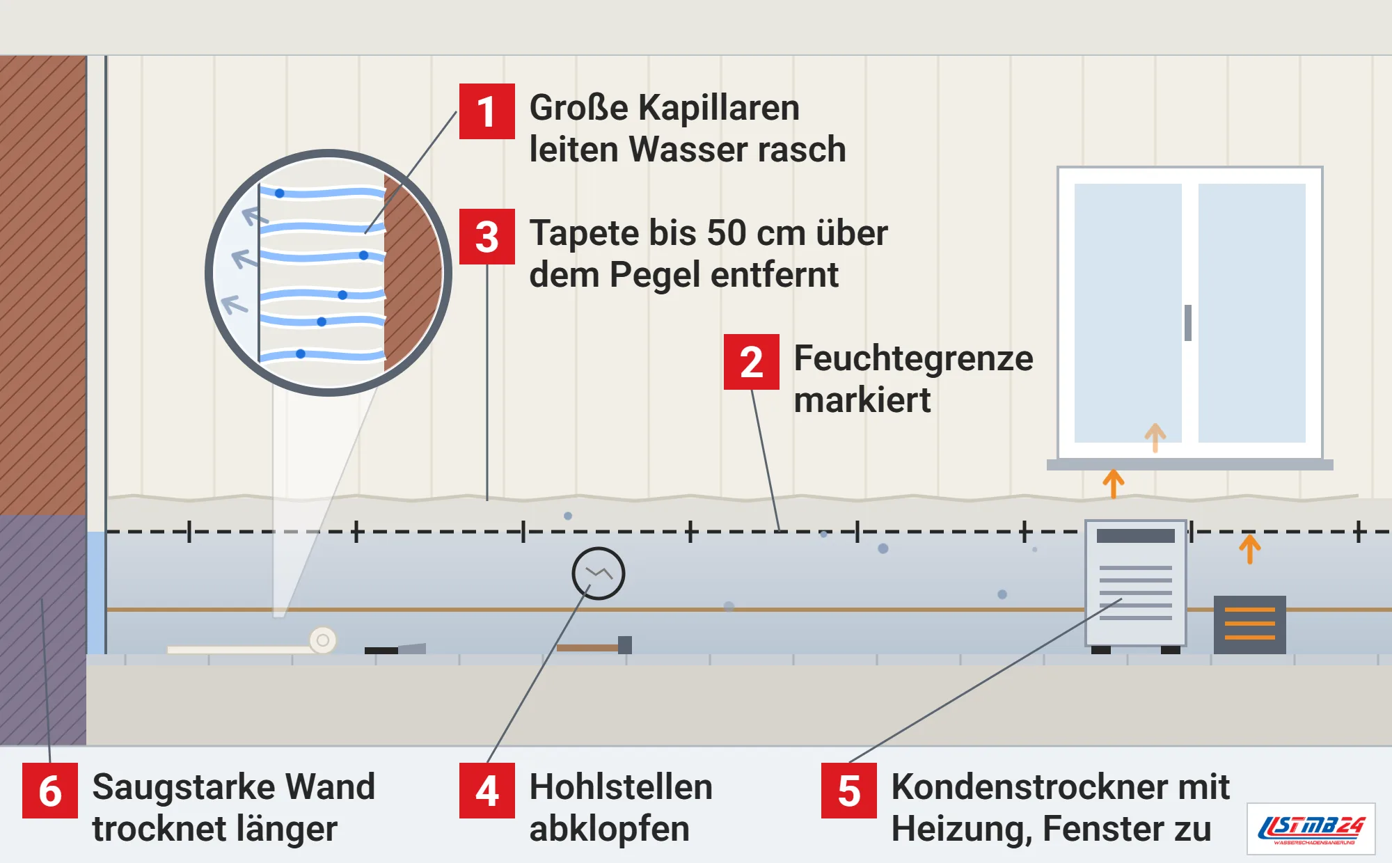 Gipsputz, Funktionsweise: Wohnraum nach einem Leitungswasserschaden mit markierter Feuchtegrenze, entfernter Tapete, eingekreister Hohlstelle, Kondenstrockner mit Heizgerät und Lupe auf die großen Kapillaren im Putz