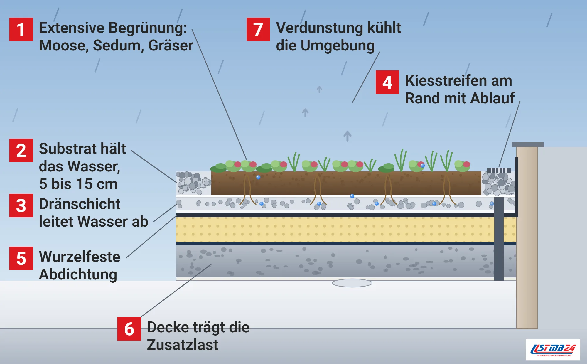 Gründach, Funktionsweise: extensiv begrüntes Flachdach im Schnitt mit Pflanzen, Substrat, Filtervlies, Dränschicht, Schutzlage, wurzelfester Abdichtung, Dämmung, Dampfsperre und Stahlbetondecke, Kiesstreifen mit Dachablauf am Rand, Verdunstung über den Pflanzen