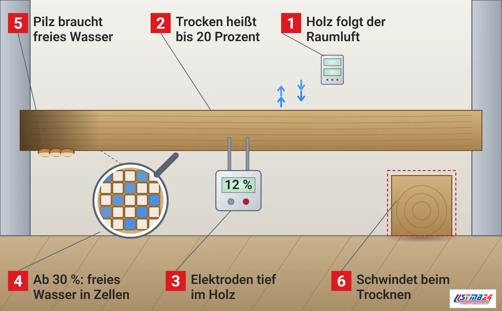 Holzfeuchte, Funktionsweise: Deckenbalken in einem Raum mit nassem Balkenende und Pilzhüten, Thermo-Hygrometer über dem Balken, Widerstandsmessgerät mit zwei Einschlagelektroden im Holz, Lupe mit Holzzellen und freiem Wasser, Balkenabschnitt mit Jahresringen und gestricheltem Umriss des feuchten Maßes