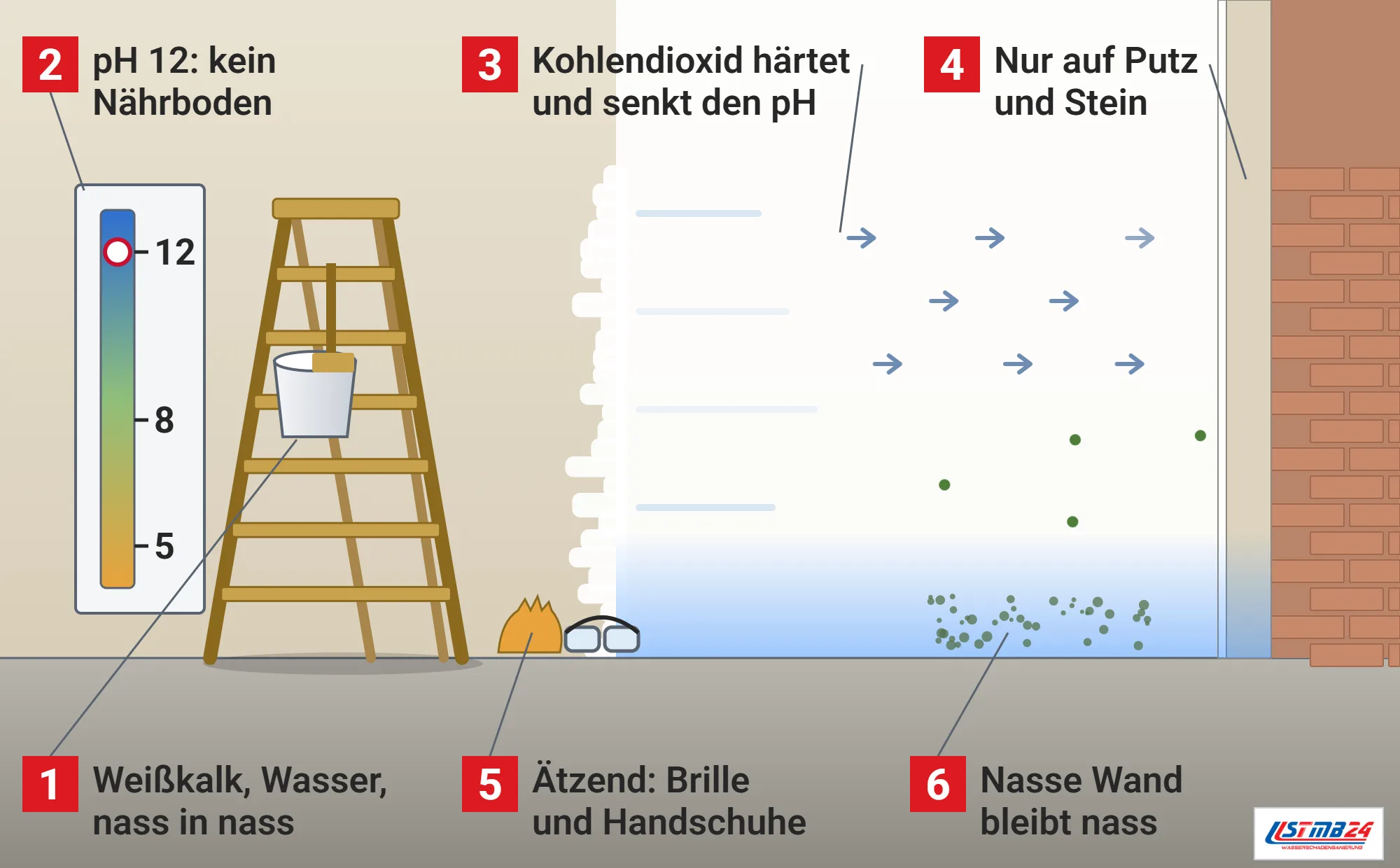 Kalkfarbe, Funktionsweise: Wand mit frischem Kalkanstrich und nasser Kante, Wandschnitt mit Anstrich, Kalkputz und Mauerwerk, Stehleiter mit Eimer und Bürste, Schutzbrille und Handschuhe, pH-Skala mit Marken 5, 8 und 12, Kohlendioxidpfeile und abprallende Sporen, nasser Wandfuß