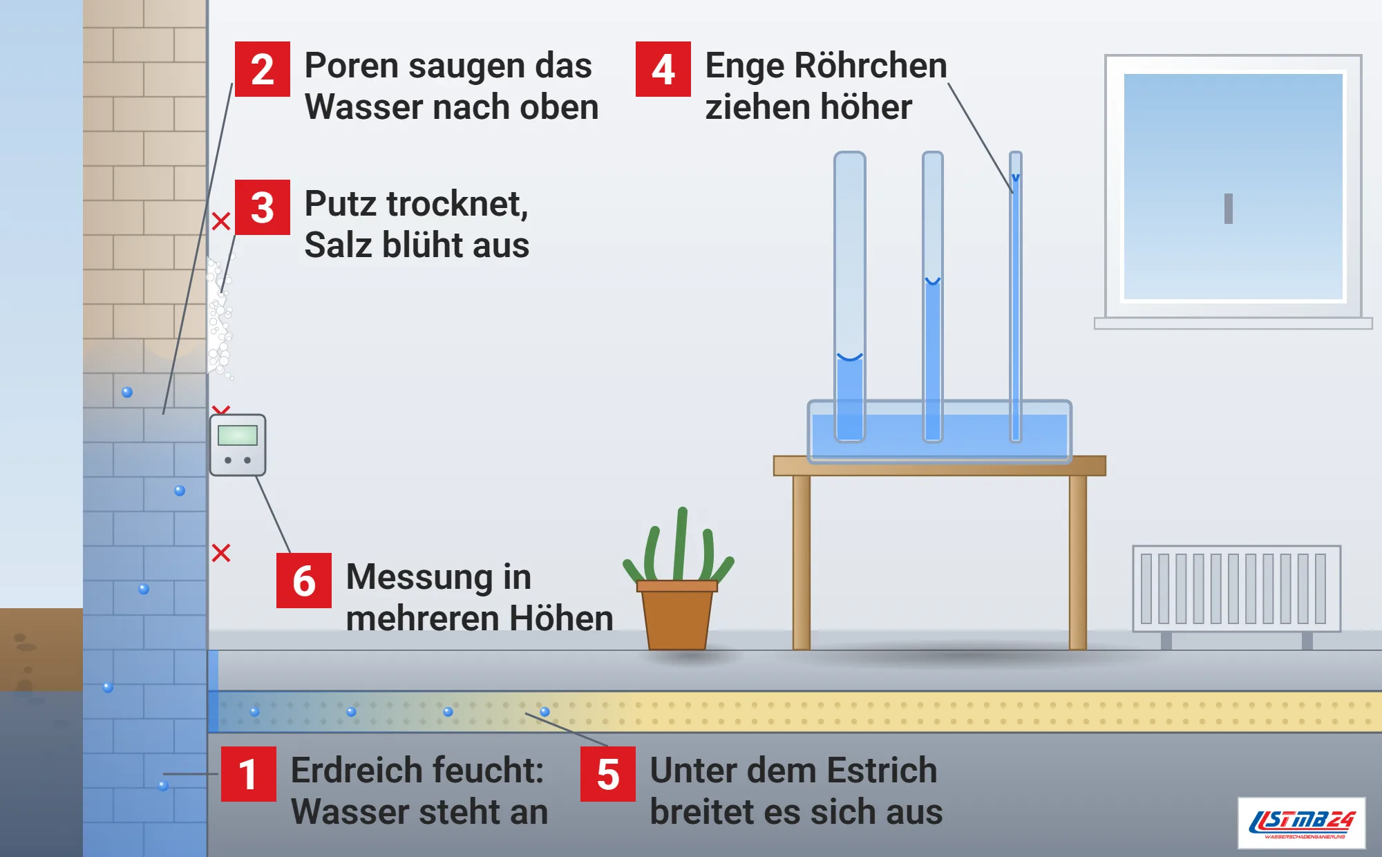Kapillarwirkung, Funktionsweise: Wasser aus dem feuchten Erdreich steigt in den Poren einer Mauer auf, Salzausblühung an der Innenseite, Wasser breitet sich in der Dämmschicht unter dem Estrich aus, drei Glasröhrchen im Wasserbecken mit verschieden hohen Wassersäulen, Feuchtemessgerät an der Wand