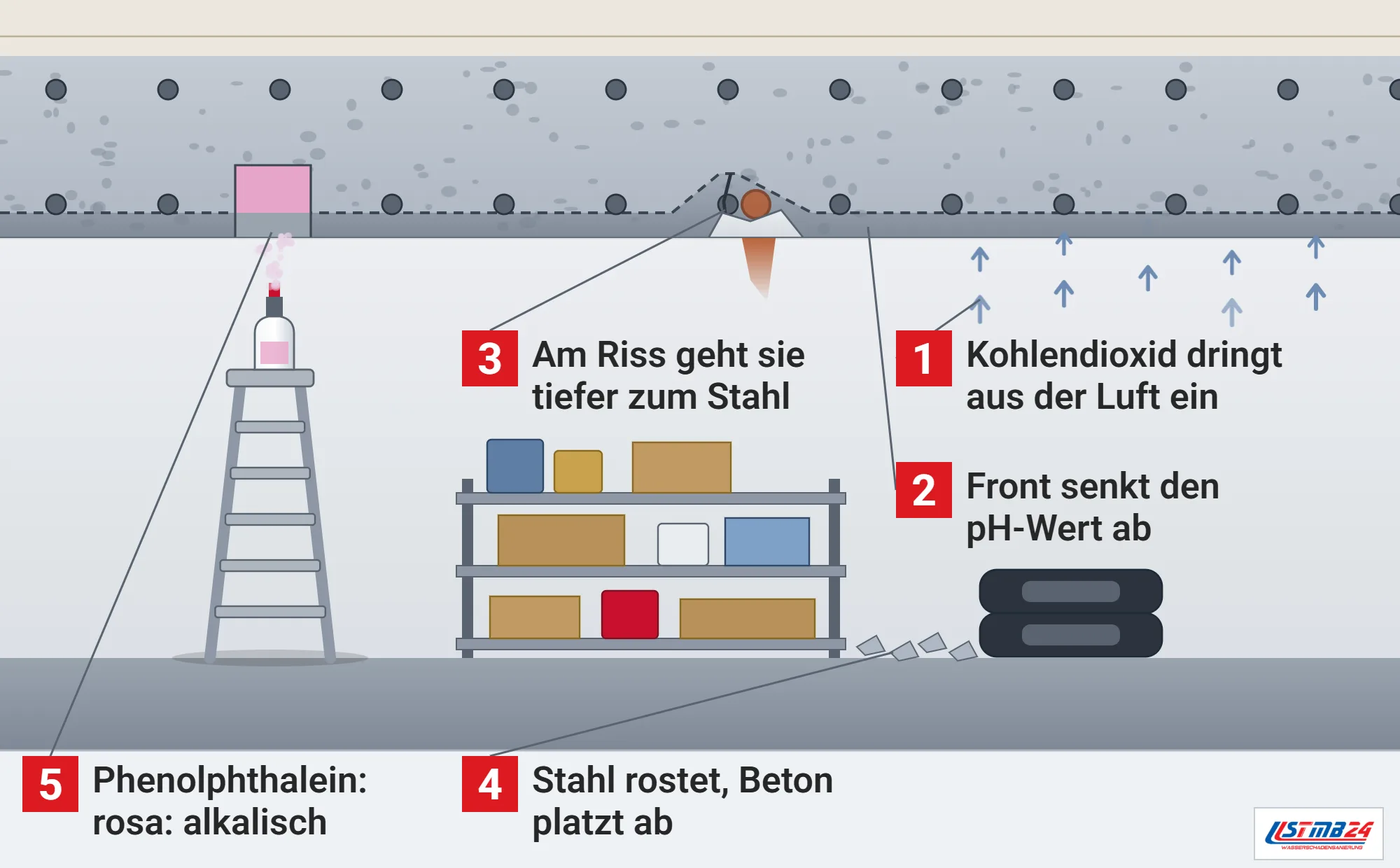 Karbonatisierung, Funktionsweise: Stahlbetondecke einer Garage im Schnitt, Kohlendioxid dringt von unten ein, graue Karbonatisierungsfront, am Riss bis zum rostenden Stahl, Abplatzung mit Rostfahne, Phenolphthalein-Probe mit rosa Kern