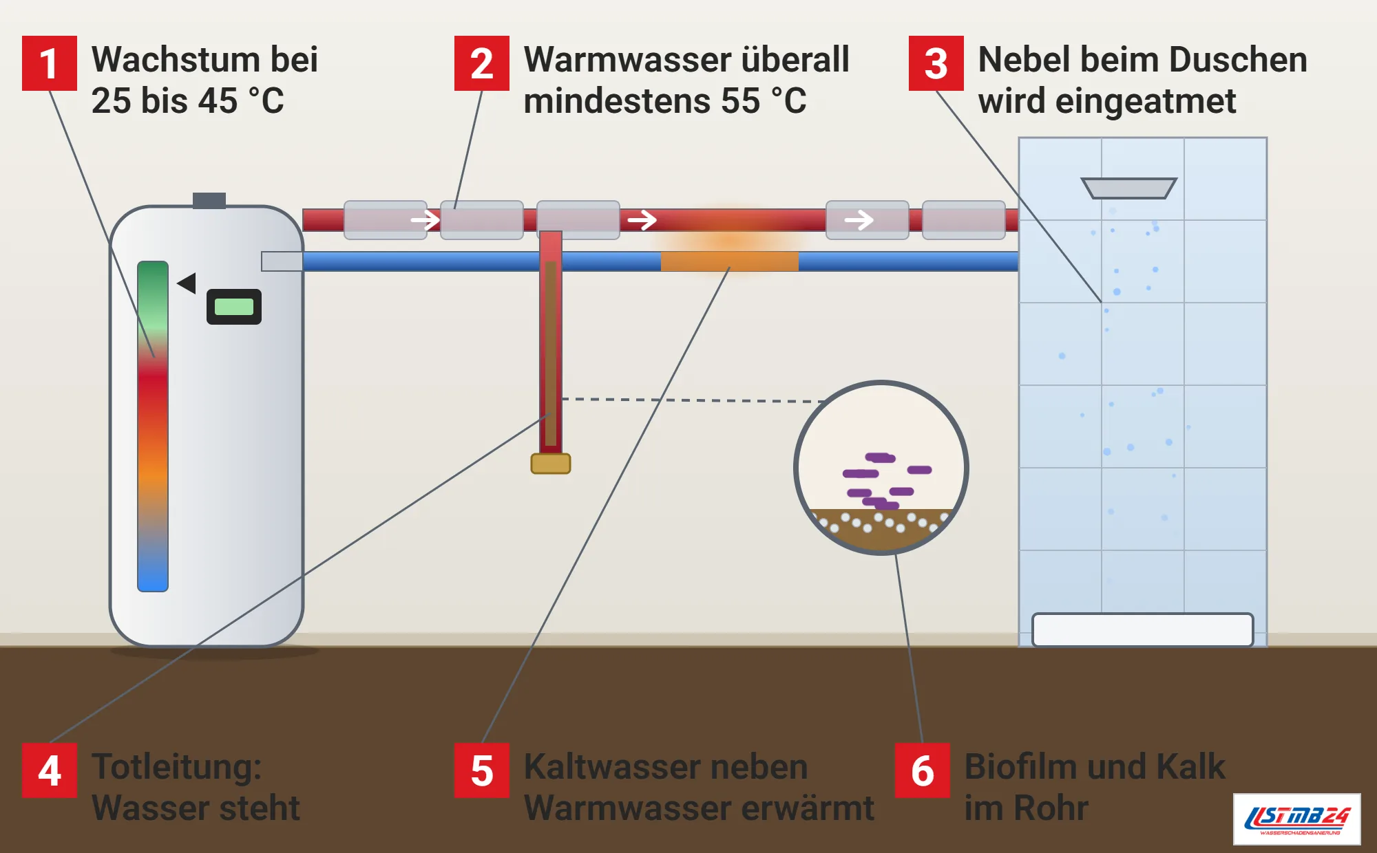 Legionellen, Funktionsweise: Warmwasserspeicher mit Temperaturband, Warmwasserleitung zur Dusche mit Nebel aus dem Duschkopf, Totleitung mit stehendem Wasser, erwärmte Kaltwasserleitung ohne Dämmung und Lupe mit Stäbchen im Biofilm mit Kalk