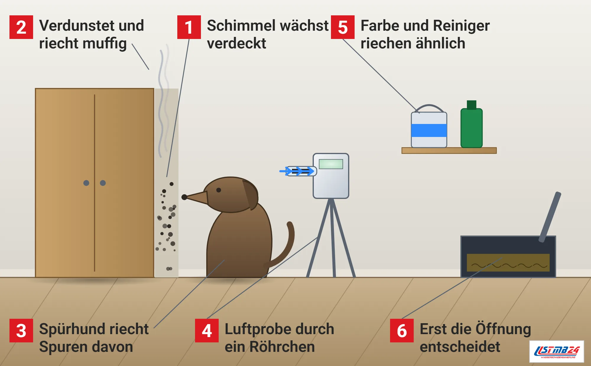 MVOC, Funktionsweise: Wohnraum mit Kleiderschrank, dahinter Schimmel an der Wand mit aufsteigenden Geruchsschwaden, Spürhund mit der Nase am Spalt, Probenahmepumpe mit Röhrchen auf einem Stativ, Regal mit Farbeimer und Reinigerflasche, geöffnete Stelle im Boden mit Stemmeisen