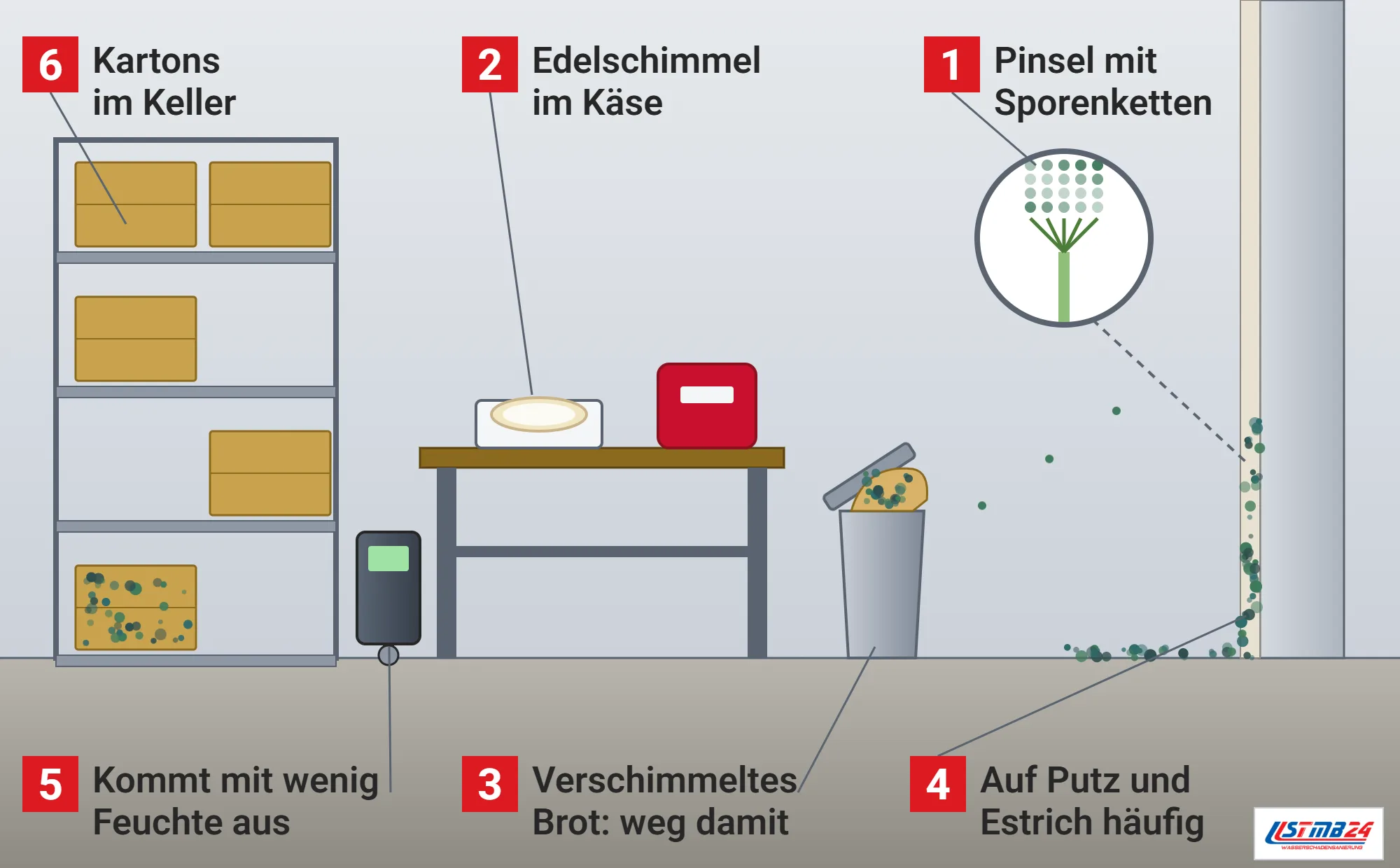 Penicillium, Funktionsweise: Kellerraum mit Regal und verschimmeltem Karton, Werkbank mit Camembert, Abfalleimer mit verschimmeltem Brot, Kellerwand mit blaugrünen Flecken auf Putz und Estrich, Feuchtemessgerät und Lupe mit pinselförmigem Konidienträger und Sporenketten