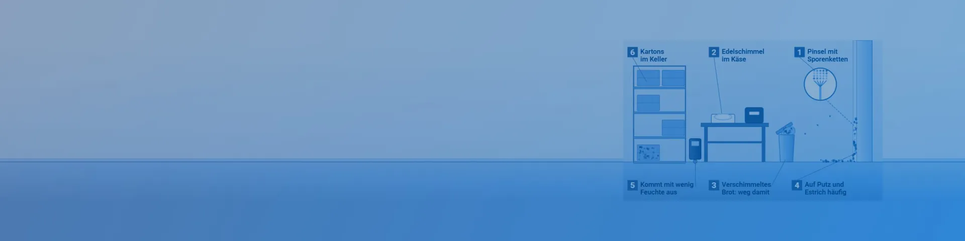 Penicillium: Keller mit Kartons, Camembert, verschimmeltem Brot im Abfalleimer, Flecken auf Putz und Estrich, Feuchtemessgerät und Lupe mit Pinselschimmel