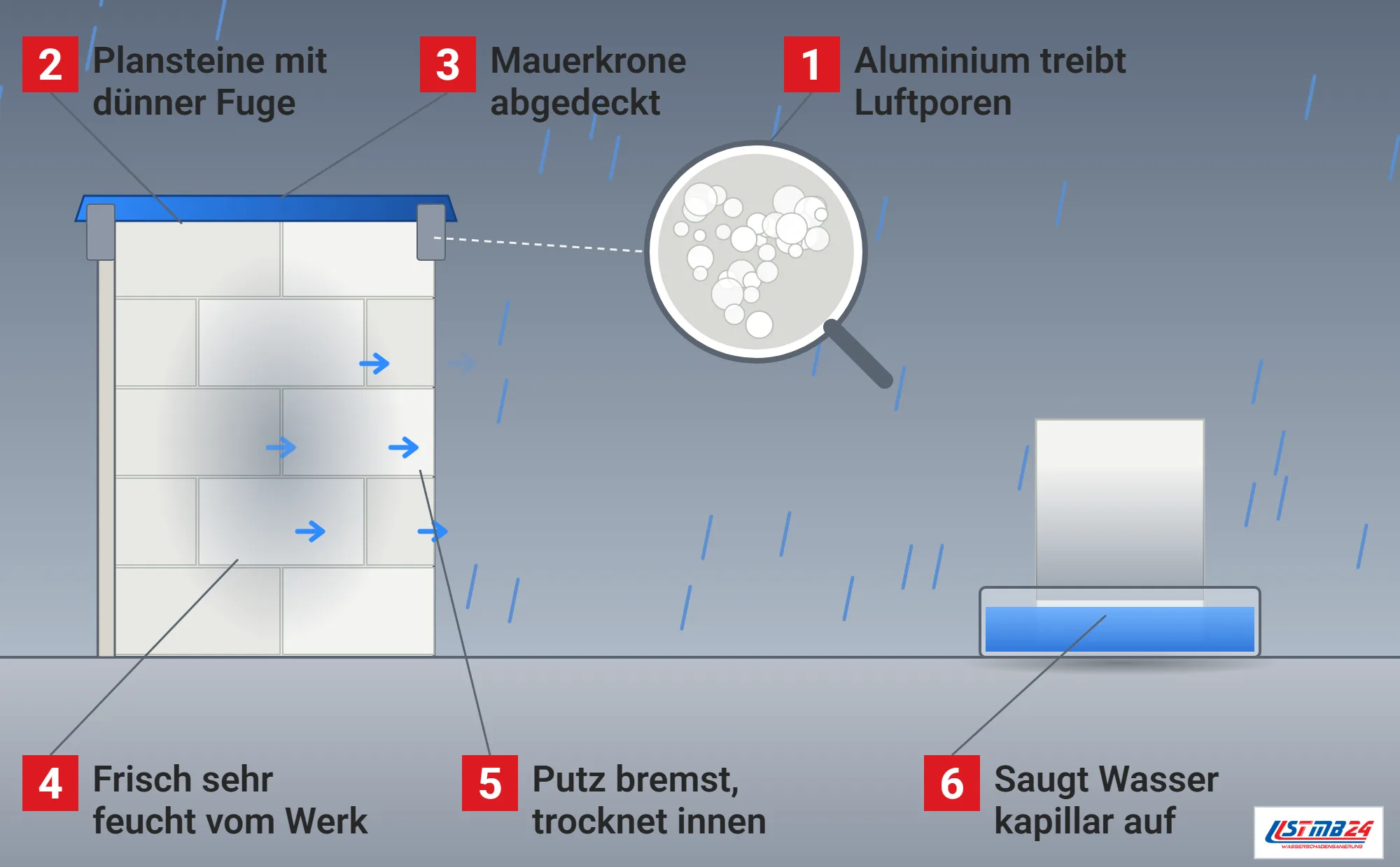 Porenbeton, Funktionsweise: Rohbau im Regen mit Wand aus Plansteinen und dünnen Fugen, Putz außen, abgedeckter Mauerkrone, feuchtem Kern mit Pfeilen nach innen, Lupe mit Luftporen, Stein in einer Wasserwanne mit aufsteigender Feuchte