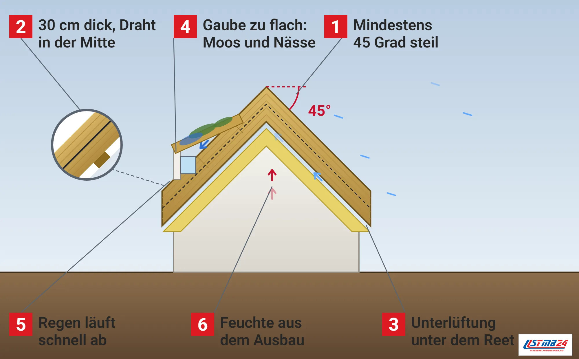 Reetdach, Funktionsweise: Haus im Schnitt mit steilem Reetdach in 45 Grad, Winkelbogen am First, Lupe mit Schnitt durch die Deckung mit Bindedraht und Latte, Lüftungsspalt mit Pfeilen, Dämmung des Ausbaus mit Feuchtepfeilen, Gaube mit Moos und Nassfleck und Regen, der die Fläche hinunterläuft