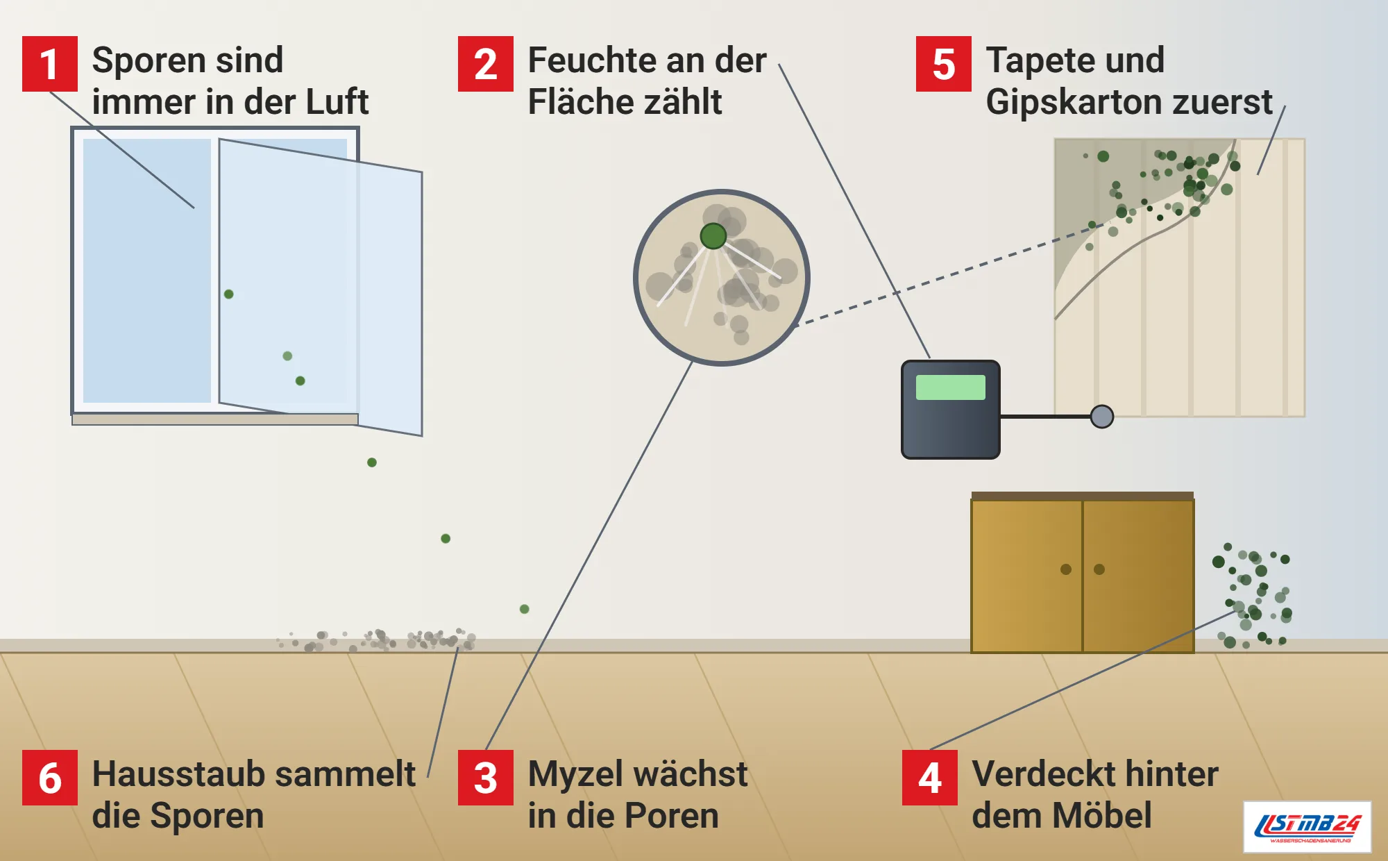 Schimmelpilz, Funktionsweise: Wohnraum mit offenem Fenster und hereintreibenden Sporen, Hausstaub am Boden, sich lösender Tapete mit Befall an der kalten Wandecke, Feuchtemessgerät mit Fühler an der Fläche, Sideboard mit verdecktem Fleck und Lupe mit Hyphen in den Putzporen