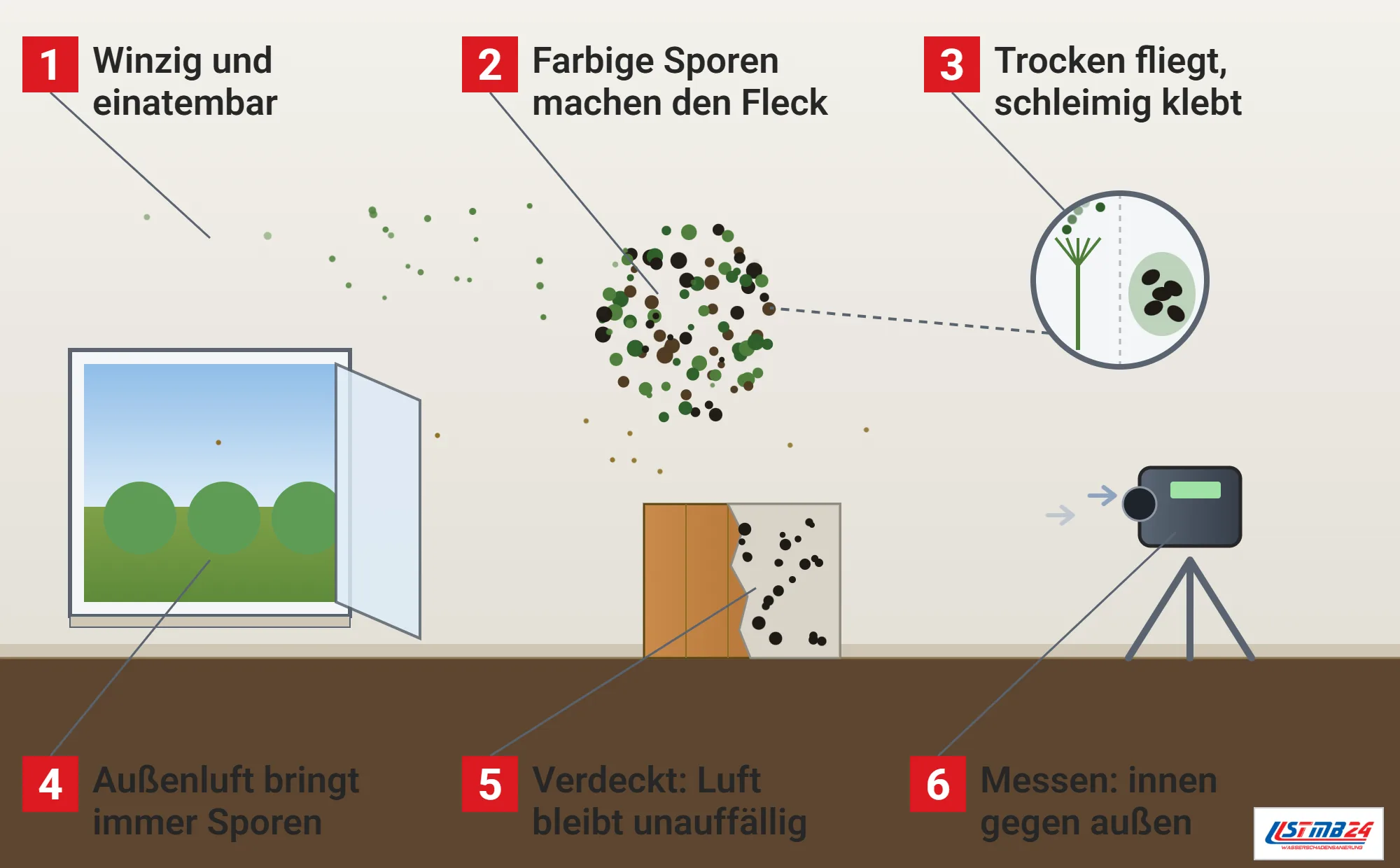 Schimmelsporen, Funktionsweise: Wohnraum mit Fleck aus farbigen Sporenträgern, treibenden Sporen, offenem Fenster mit Außenluft, Lupe mit trockenem Pinsel und Schleimtropfen, aufgeschnittener Holzverkleidung mit verdecktem Befall und Luftkeimsammler