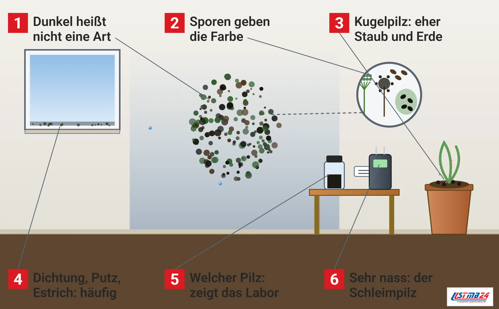 Schwarzschimmel, Funktionsweise: Bad mit großem dunklem Fleck aus mehreren Arten an der nassen Wand, Lupe mit Pinsel, Kopf und Schleimtropfen, Fenster mit Punkten in der Dichtung, Blumentopf mit Kugelpilz und Staub, Probe mit Etikett und Feuchtemessgerät