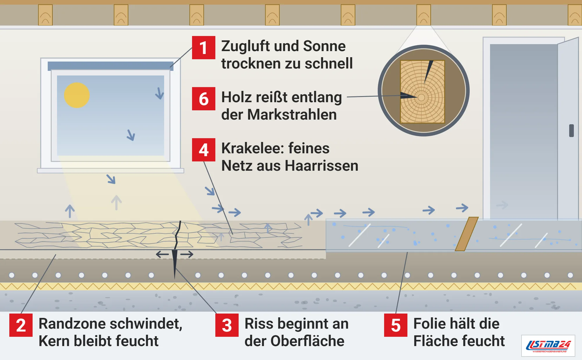 Schwindriss, Funktionsweise: Raum mit frischem Heizestrich im Schnitt, Zugluft vom gekippten Fenster und Sonne, trockene Randzone über feuchtem Kern, keilförmiger Riss und feines Rissnetz, Folie mit Latte auf der anderen Hälfte, Lupe auf einen Holzbalken mit Riss entlang eines Markstrahls