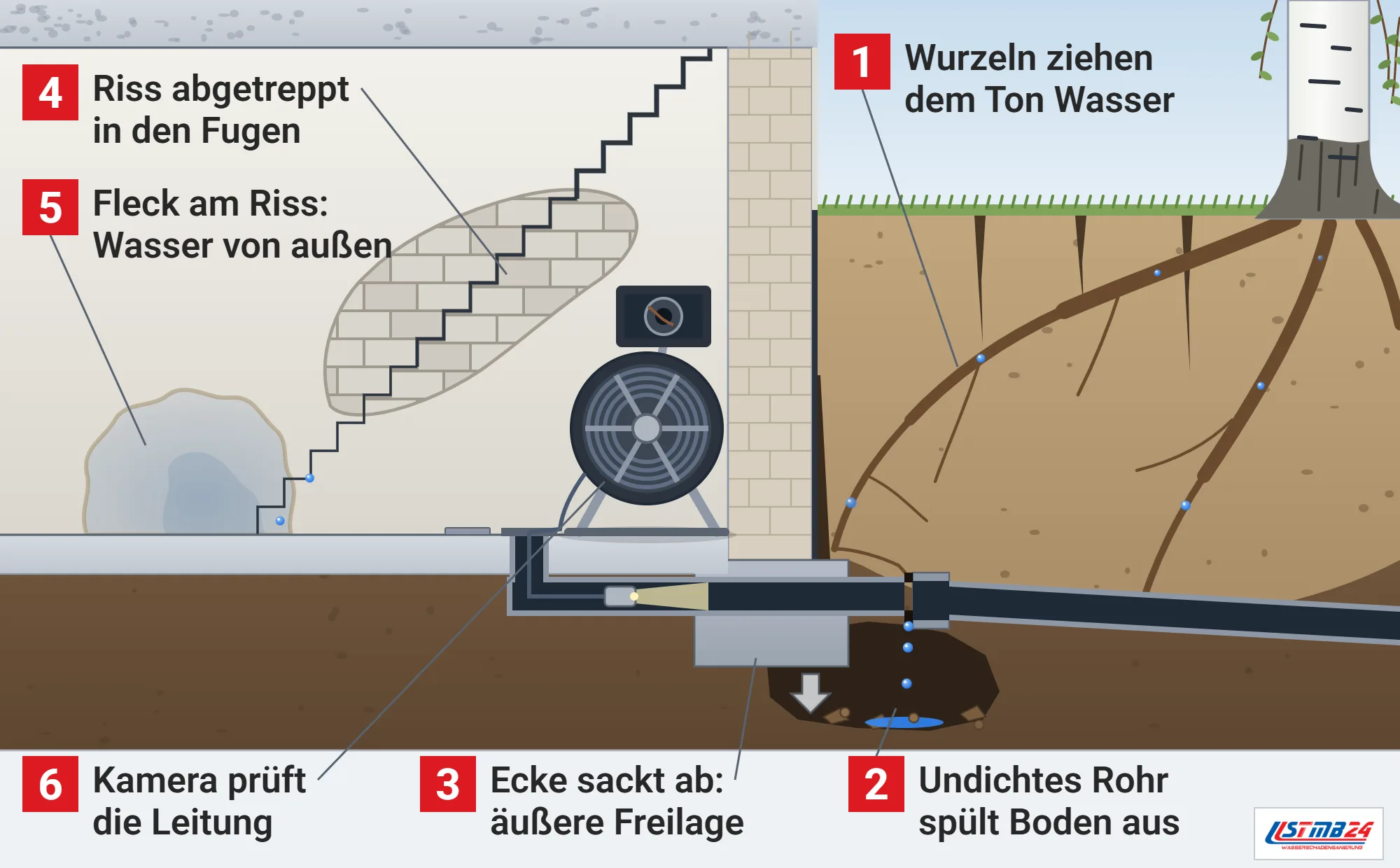 Setzungsriss, Funktionsweise: Keller im Schnitt mit abgetrepptem Riss zur Hausecke, Mauerwerksfugen unter dem Putz, feuchtem Fleck, Rohrkamera im Bodenablauf, Birkenwurzeln im ausgetrockneten Tonboden und ausgespültem Hohlraum unter dem Fundament