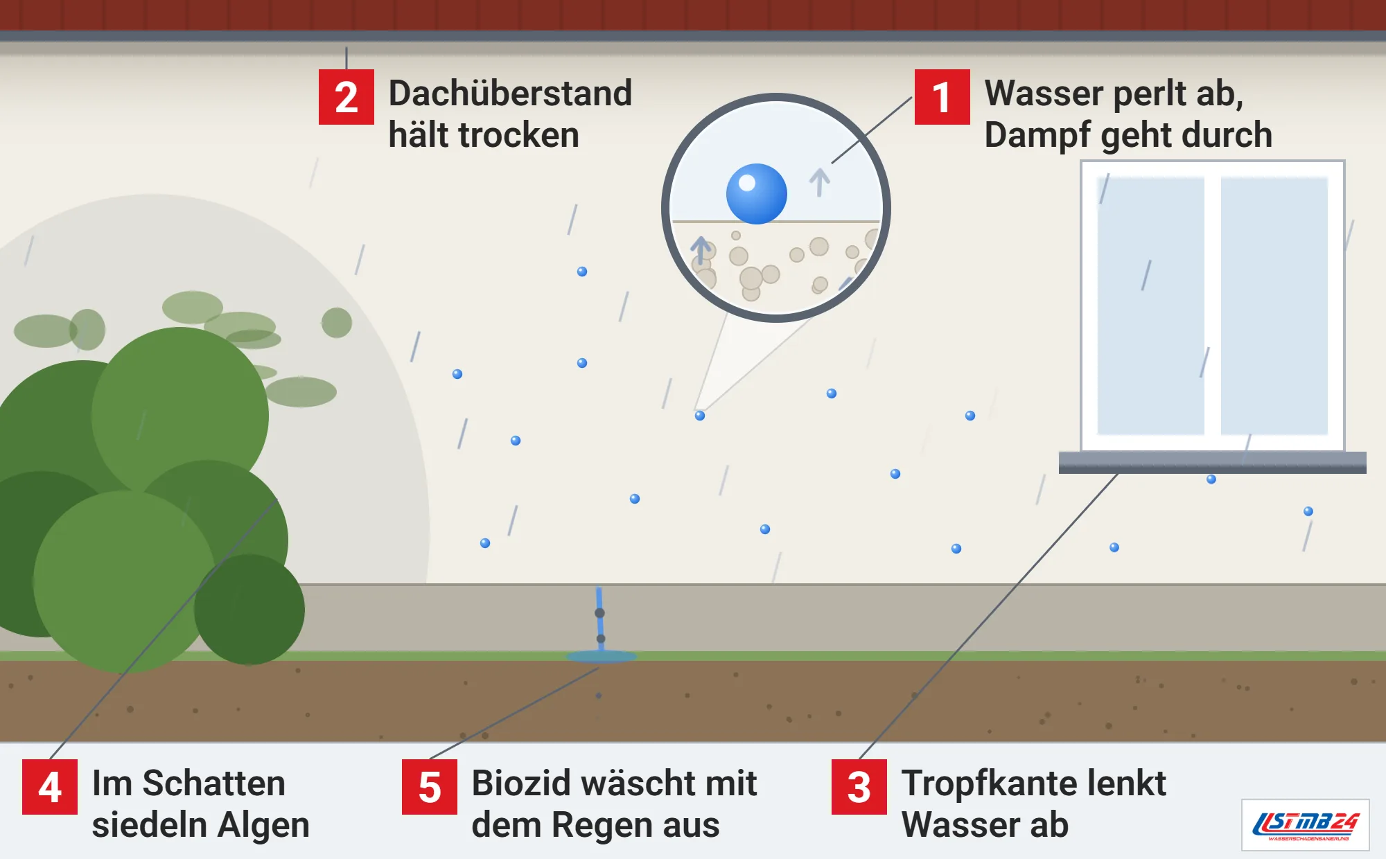 Silikonharzputz, Funktionsweise: Fassade im Regen mit Dachüberstand, Tropfkante an der Fensterbank, Algen im Schatten eines Busches, ausgewaschenes Biozid am Sockel und Lupe auf den abperlenden Tropfen