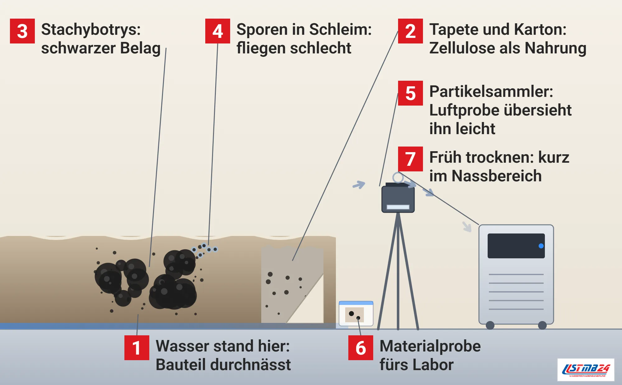 Stachybotrys chartarum, Funktionsweise: durchnässte tapezierte Wand nach einem Wasserschaden mit schwarzem Belag, Sporen in Schleim, abgezogener Tapete über dem Karton der Gipsplatte, Partikelsammler auf dem Stativ, Materialprobe in der Tüte und Trocknungsgerät