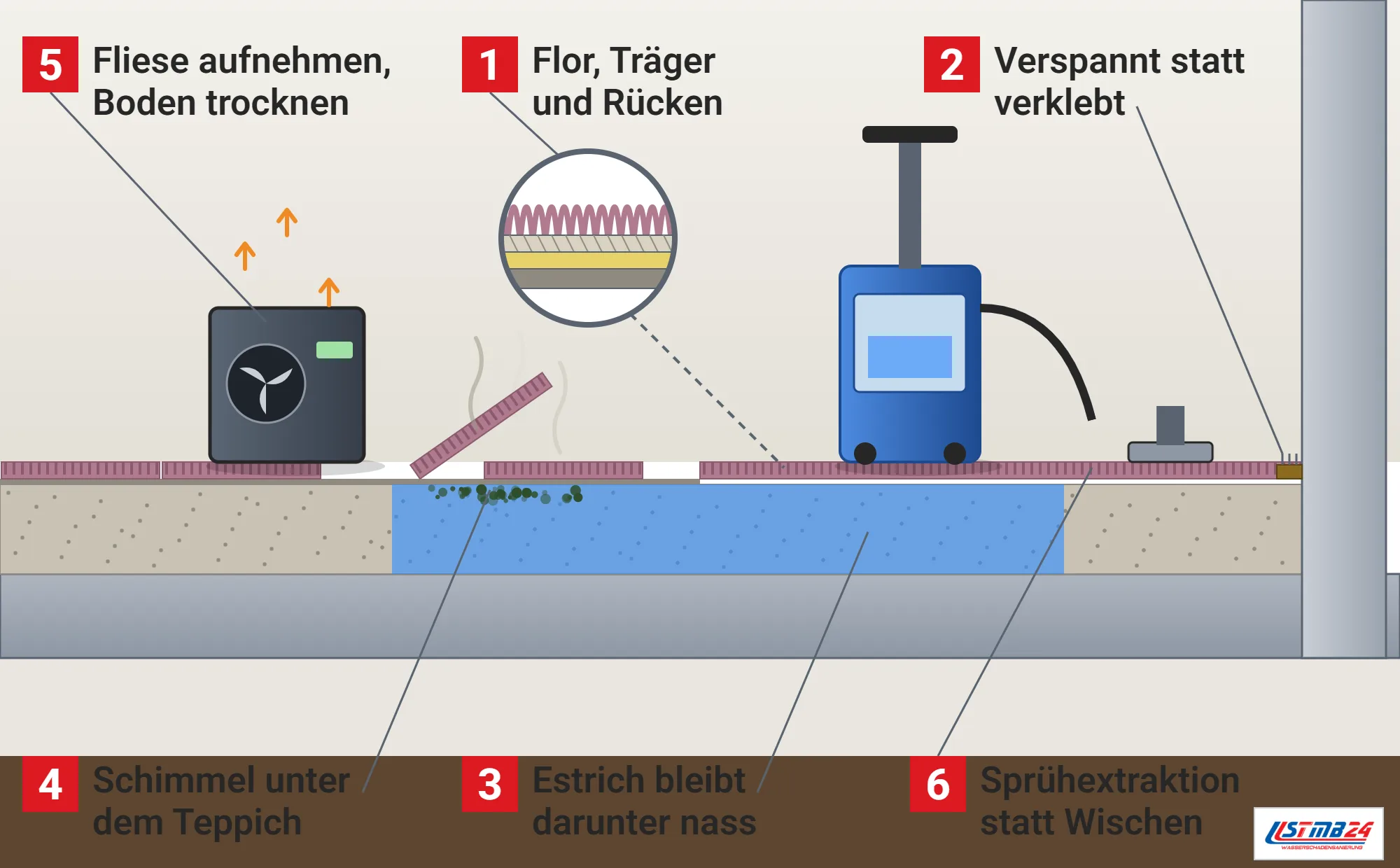 Teppichboden, Funktionsweise: Fußboden im Schnitt mit verklebten Teppichfliesen, aufgenommener Fliese, Schimmelpunkten auf nassem Estrich, Trocknungsgerät, verspanntem Teppich mit Nagelleiste, Sprühextraktionsgerät mit Düse und Lupe mit Flor, Träger, Latex und Rücken